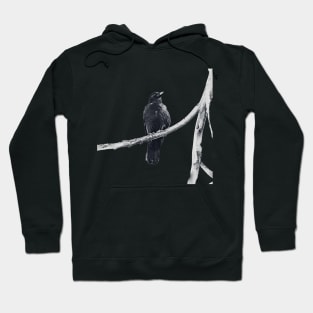 dark drawing of crow on a branch Hoodie